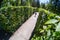 Child garden labyrinth park nature,  ornamental