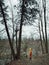 Child girl with backpack standing in the woods. Kid hiking on trail in wild forest with backpack on a spring summer autumn day.