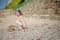 Child girl building stone tower on the beach in summer day