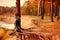 Child girl climbing old pine tree on the walk on autumn river side