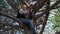 Child girl climbing in a tree, bright sunlight, beautiful day