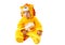 Child girl,dressed in lion carnival suit, isolated on white background. Baby zodiac - sign Leo.