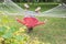 Child girl falling from hammock, spring garden background