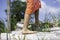 Child girl feet walking barefoot, climbing on tree trunk