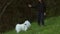 Child girl holding white dog Japanese spitz puppy, dog care, pet love