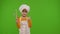 Child girl kid cook chef baker posing, smiling, showing thumb up on green chroma key background