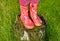 Child girl legs in pink galoshes
