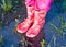 Child girl legs in pink galoshes inside puddle of water