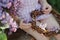 Child girl making lilac wreath in spring blooming garden