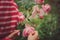 Child girl in red striped raincoat playing with wet roses in rainy summer garden. Nature care concept.