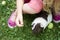 Child Girl relaxing and playing with her guinea pigs outside on green grass lawn