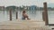 Child girl sits on the wood pier and enjoy nature in slow motion