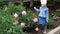 Child girl sniffs the aroma of peony flowers.