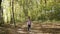 Child girl walking holding in autumn forest with bright orange and yellow leaves. Dense woods in sunny fall weather.