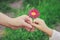 The child gives the flower to his mother.