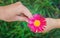 The child gives the flower to his mother.