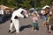 Child Greets Costumed Cow Character