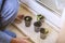 Child grew seedlings in transparent pots at home. School experiment