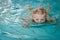 Child half underwater in swimming pool