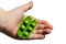 Child hand holding opened clove of pea Pisum Sativum with five peas in palm, white background.