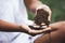 Child hand holding the soil prepare for plant