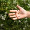 Child hand with ladybugs. Bio insecticide method