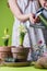 child hand pouring pot with hyacinth gardening concept flower dress