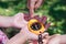 Child hands holding a compass in a geocaching game. Outdoor sport in the nature with empty copy space