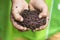 Child hands holding Fertile soil and earthworms on green background