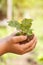 Child hands holding plant new life concept nature living garden copyspace small tree