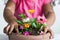 Child hands planting colorful flowers in a terracotta pot