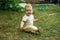 The child happily crawls and sits on the green grass. Toddler smiles and moves on all fours around the yard in the open air