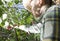 Child harvesting Morello Cherries