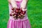 A child harvests cherries in the garden. Selective focus