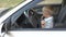 The child is having fun and playing behind the wheel in dad`s car.