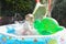 Child having fun playing in water in a garden paddling pool the boy is happy and smiling