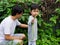 Child help father harvesting asparagus bean vegetable on house fence outdoor together.