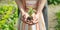 A child with his father plant a nursery garden. Selective focus