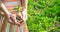 A child with his father plant a nursery garden. Selective focus