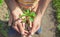 A child with his father plant a nursery garden. Selective focus