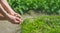 A child with his father plant a nursery garden. Selective focus