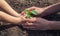 A child with his father plant a nursery garden. Selective focus