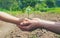 A child with his father plant a nursery garden. Selective focus