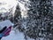 Child hold the snowball. Snow covered trees and spruce Winter in mountain. Close-up shot