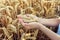 Child holding crop in wheat field