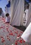 Child holding the ground rose petals during a Holy week procession