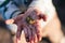 Child holding in hand Limax maximus, also known as the great gray slug, tiger slug and leopard slug. Spring, outdoor