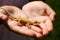 Child holding lizard