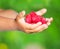 Child holding tasty raspberry