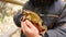 Child holding a toad